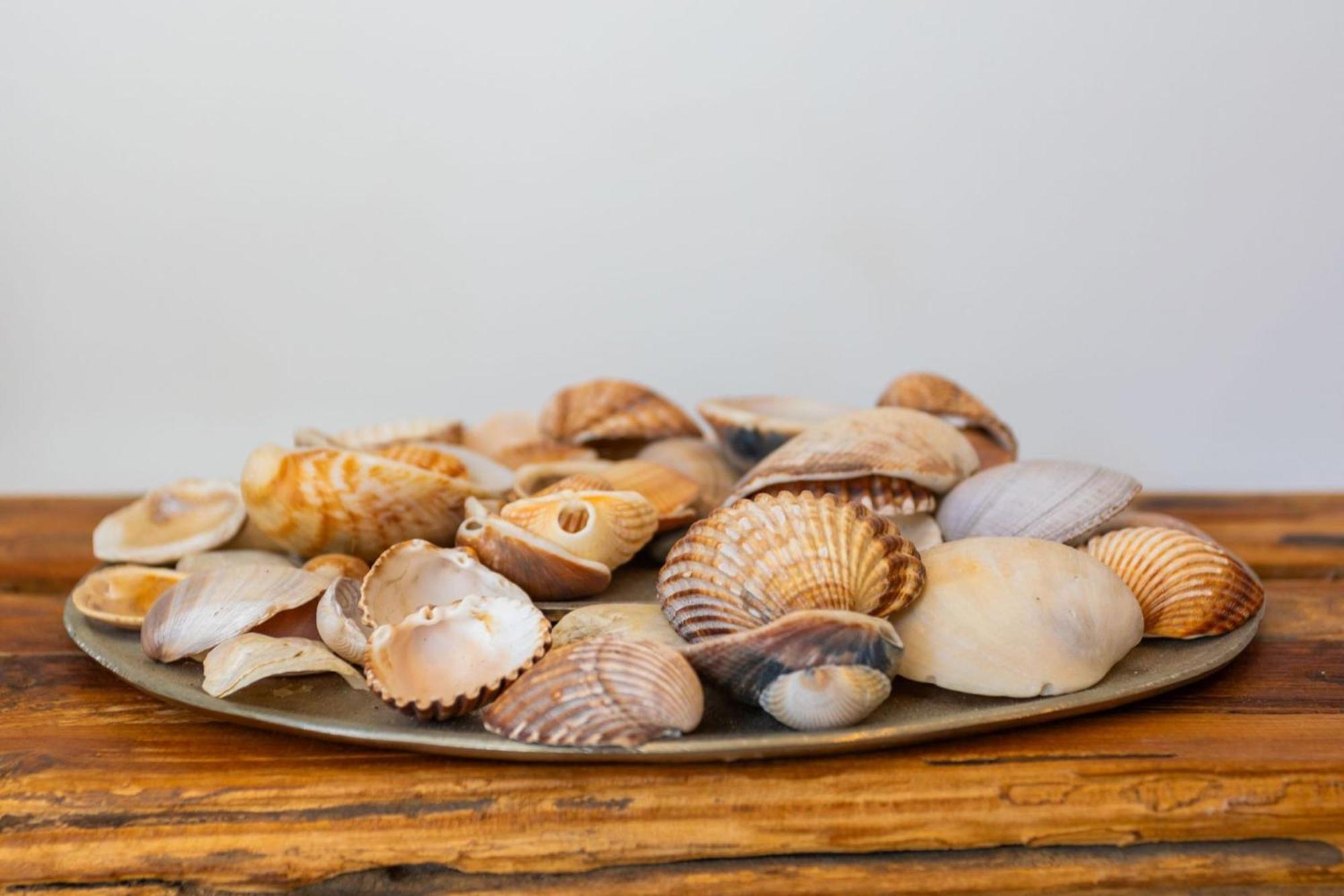 La Cala Beach Home - Beachfront Few Steps Away From Sandy Beach 라칼라데미야스 외부 사진